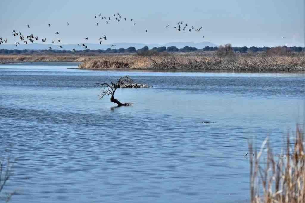 Apto. Singular En La Mancha Banco De Inversiones Argamasilla de Alba المظهر الخارجي الصورة
